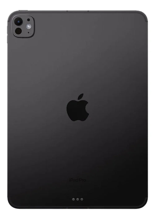 Apple Ipad 256GB 8GB RAM Edición